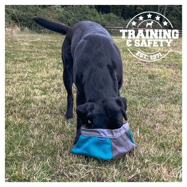 Ancol Travel Food & Water Bowl ANCOL Decathlon