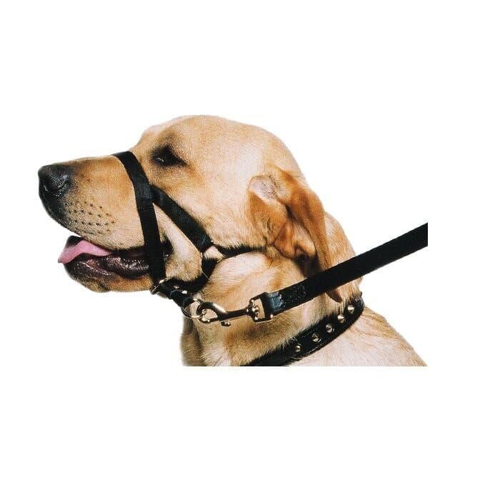 ANCOL Ancol Dog Nylon Training Halter