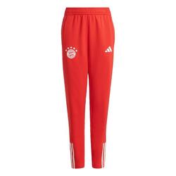 Official 2023-2024 Bayern Munich DNA Pants (Red): Buy Online on Offer