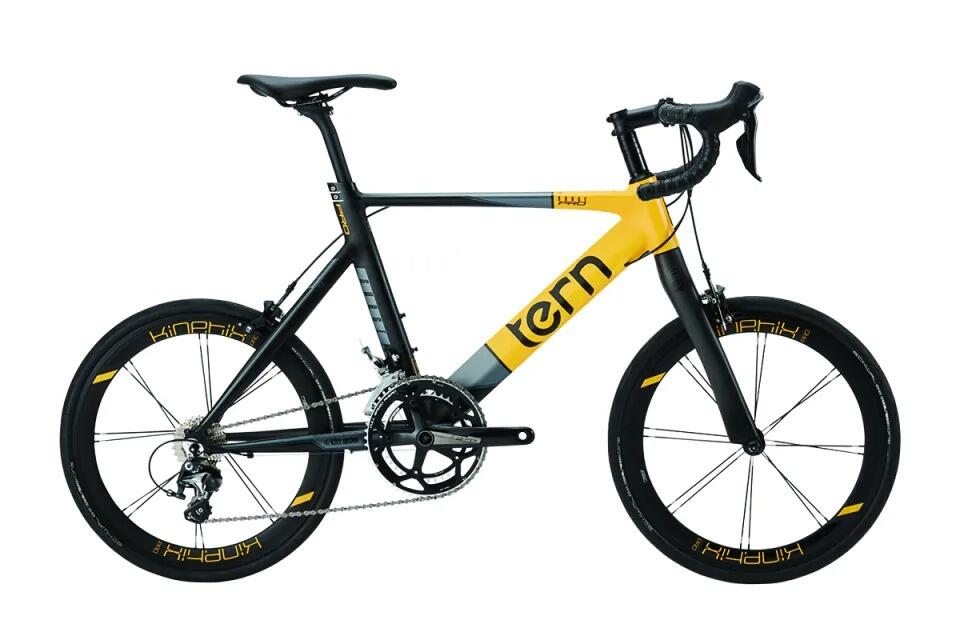已安裝) TERN ROJI BIKE SURGE PRO 451小輪徑47CM - 藍色