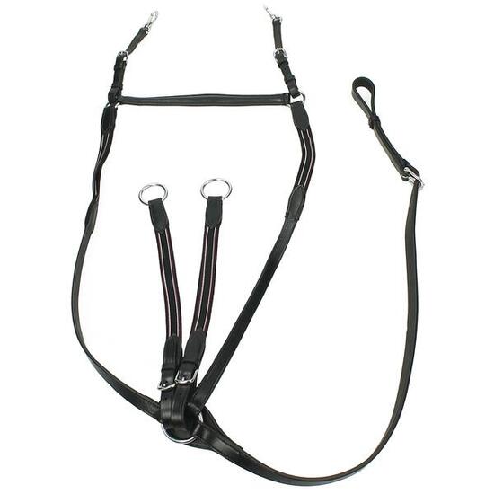 Vorderzeug EJbristol Epplejeck Schwarz-Silber