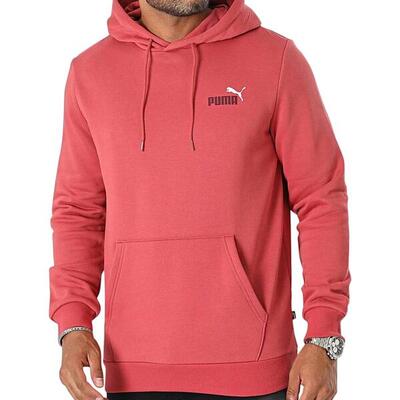 Hoodie puma essential + 2 col small logo fl