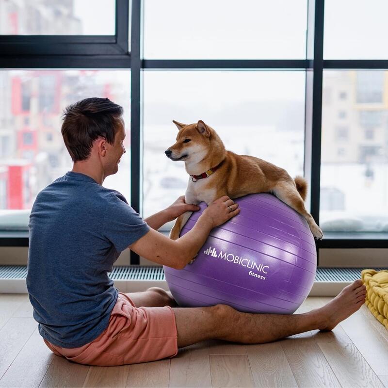 Ballon d'exercice Yoga Gonfleur Anti-dérapant 58 cm Grossesse Lavable