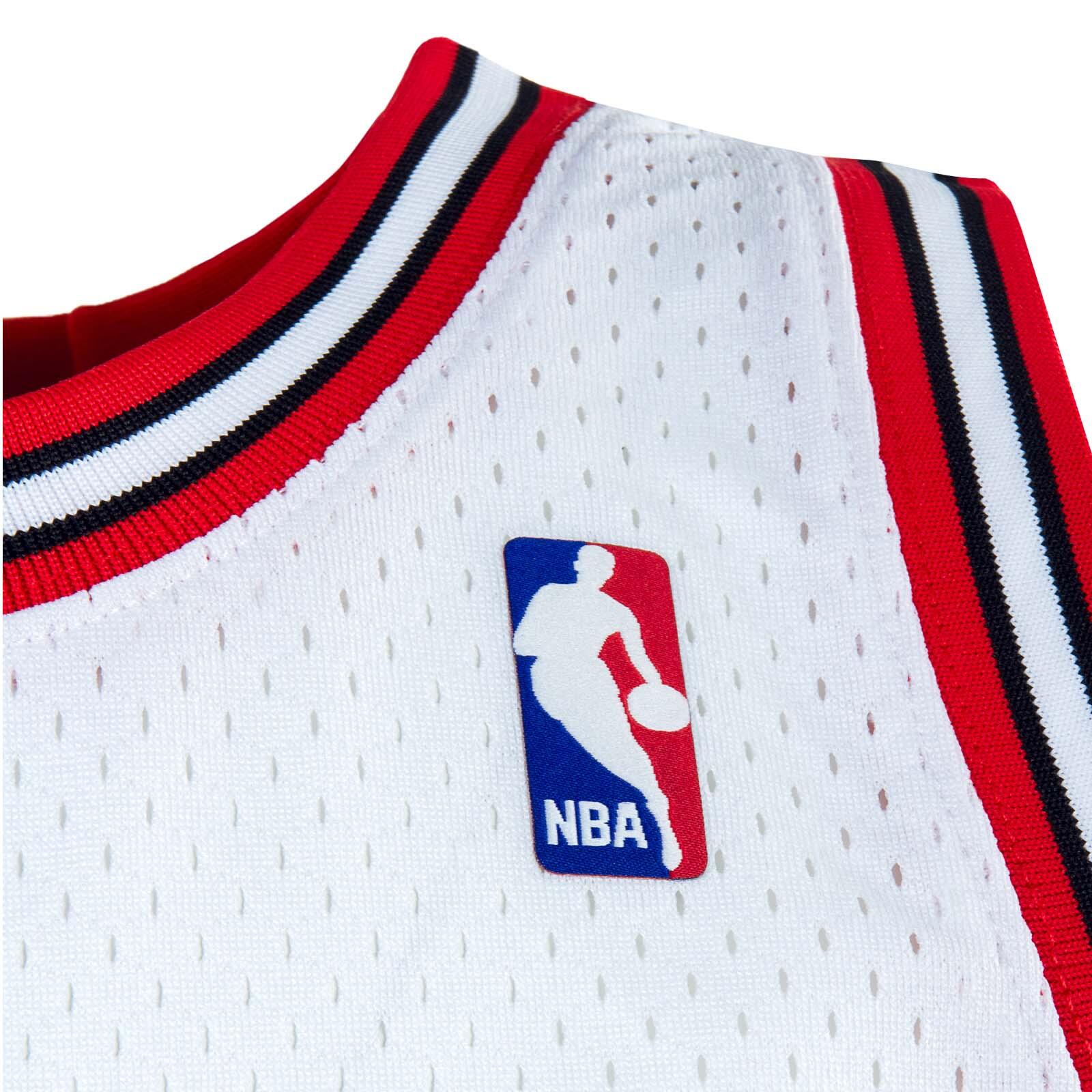 Camiseta De Baloncesto  Leyenda Dennis Rodman 91 - CHICAGO BULLS 4/5