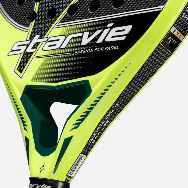 Starvie Aquila 2024