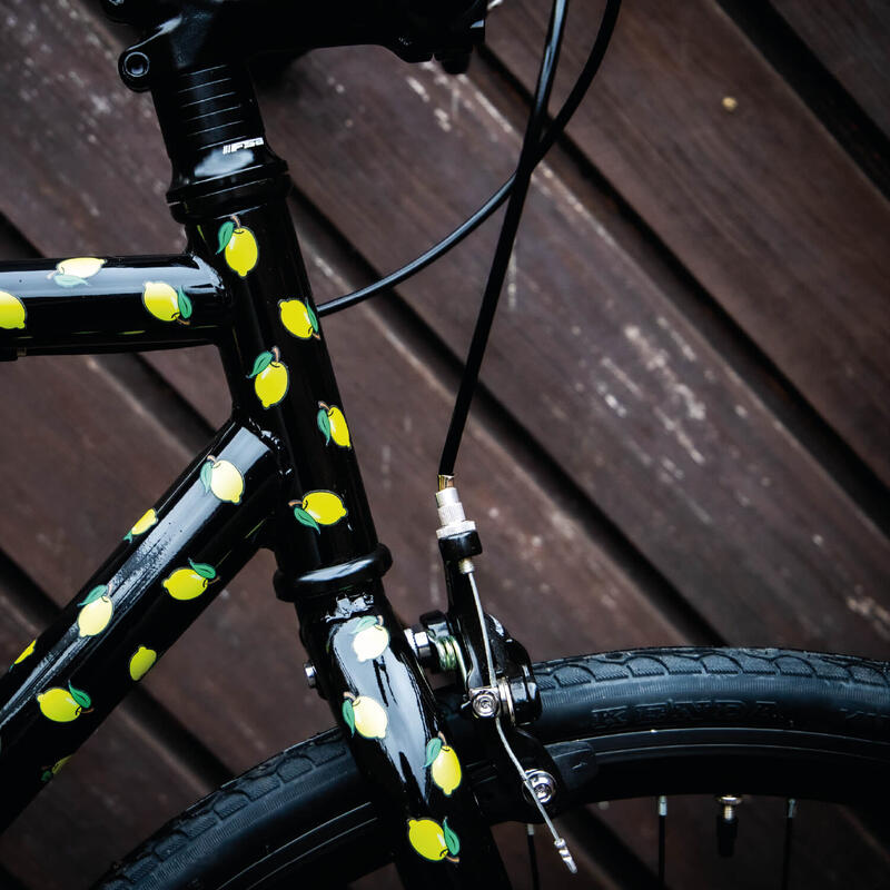Bunte Fahrrad Sticker mit Zitronen und CO