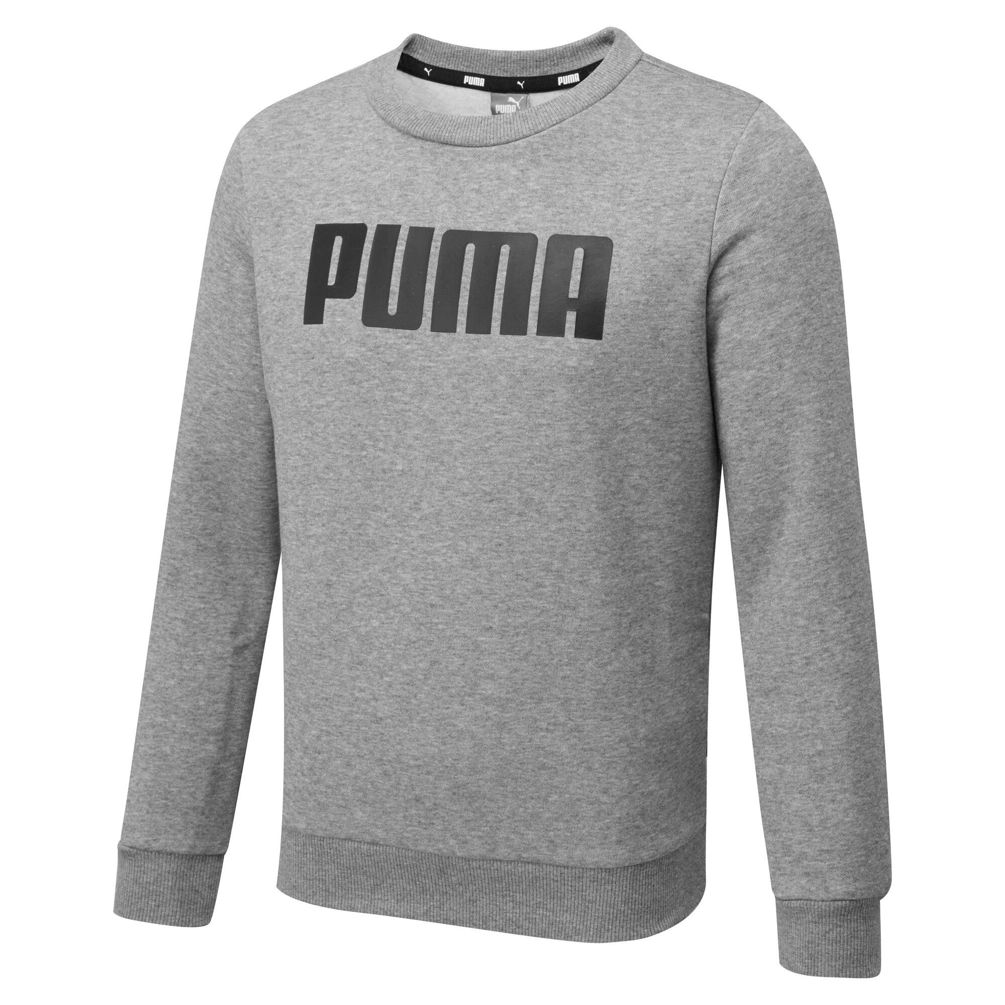 PUMA picture