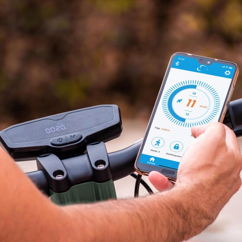 Trottinette Électrique Smartgyro SG27-389 Vert