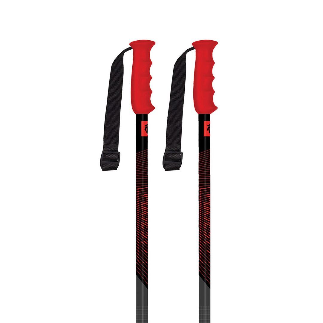 Kije narciarskie MAJESTY 2024 Fixed Ski poles Adventure PRO 2/3
