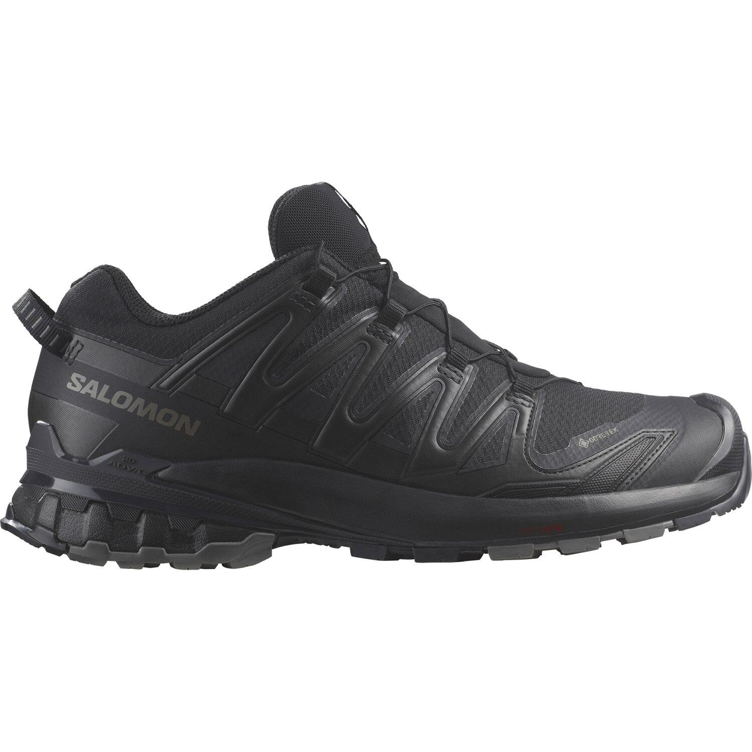 SALOMON picture