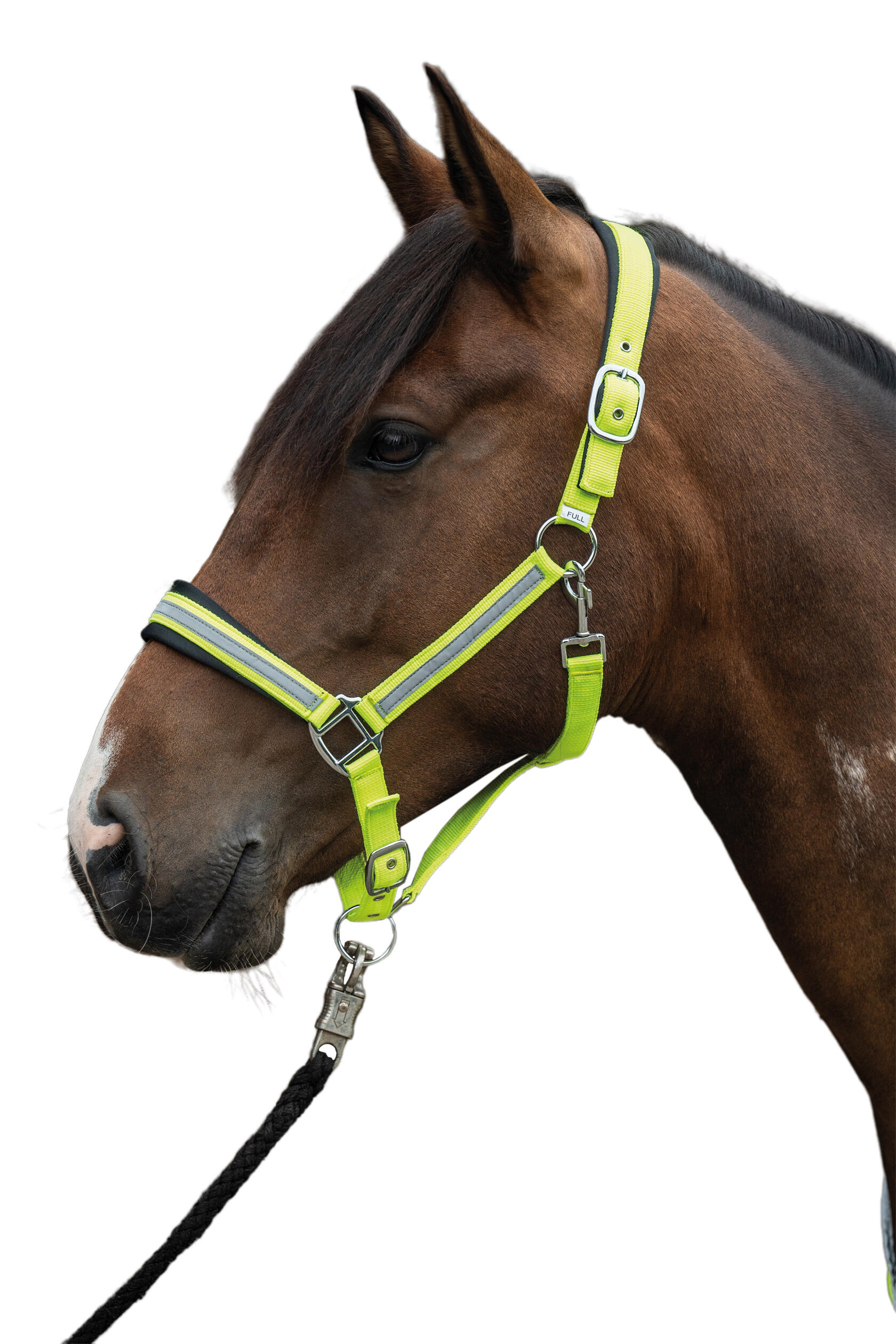 Licol Reflective jaune fluo 3/3