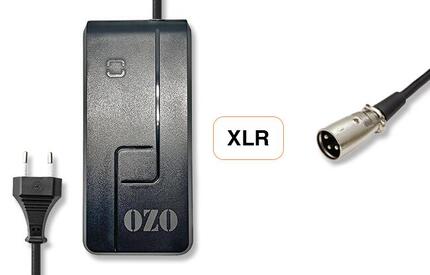 Chargeur 36V 2A pour batterie Lithium de vélo électrique prise XLR