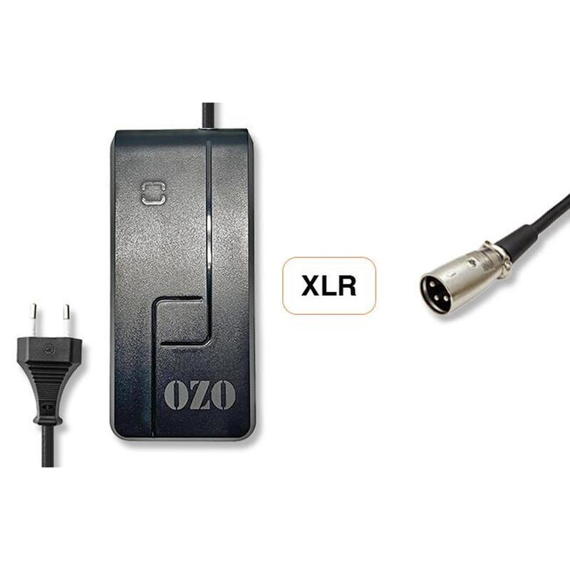 Chargeur 36V 2A pour batterie Lithium de vélo électrique prise XLR