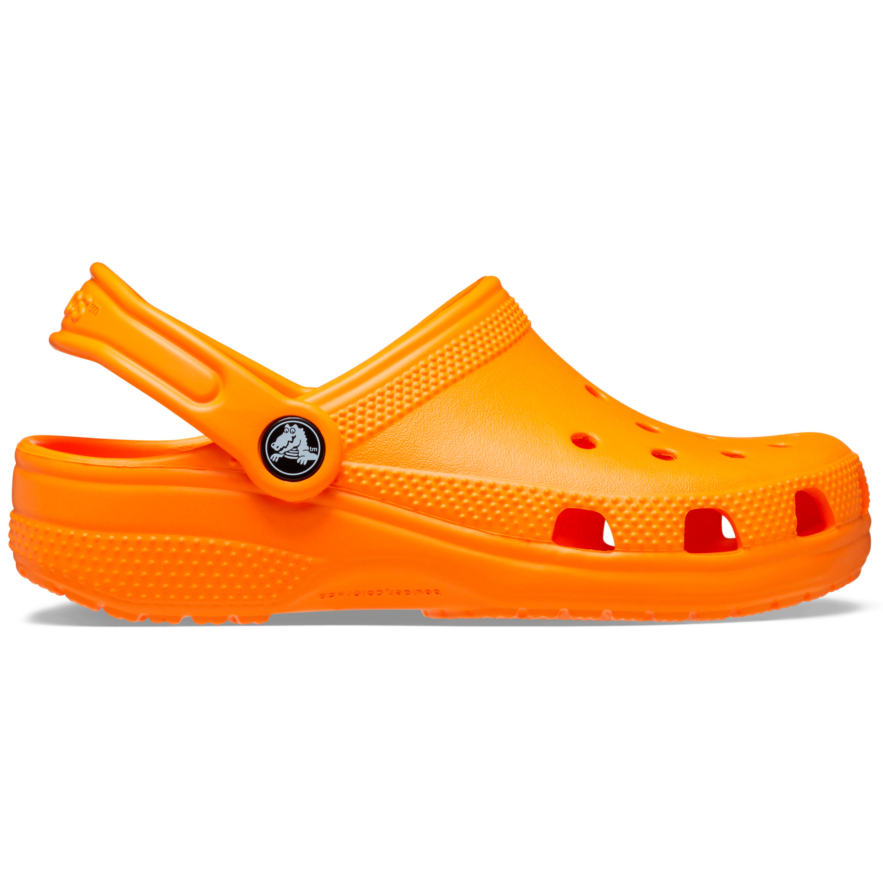 CROCS picture