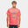 T-shirt de randonnée Alpinus Polaris - Homme