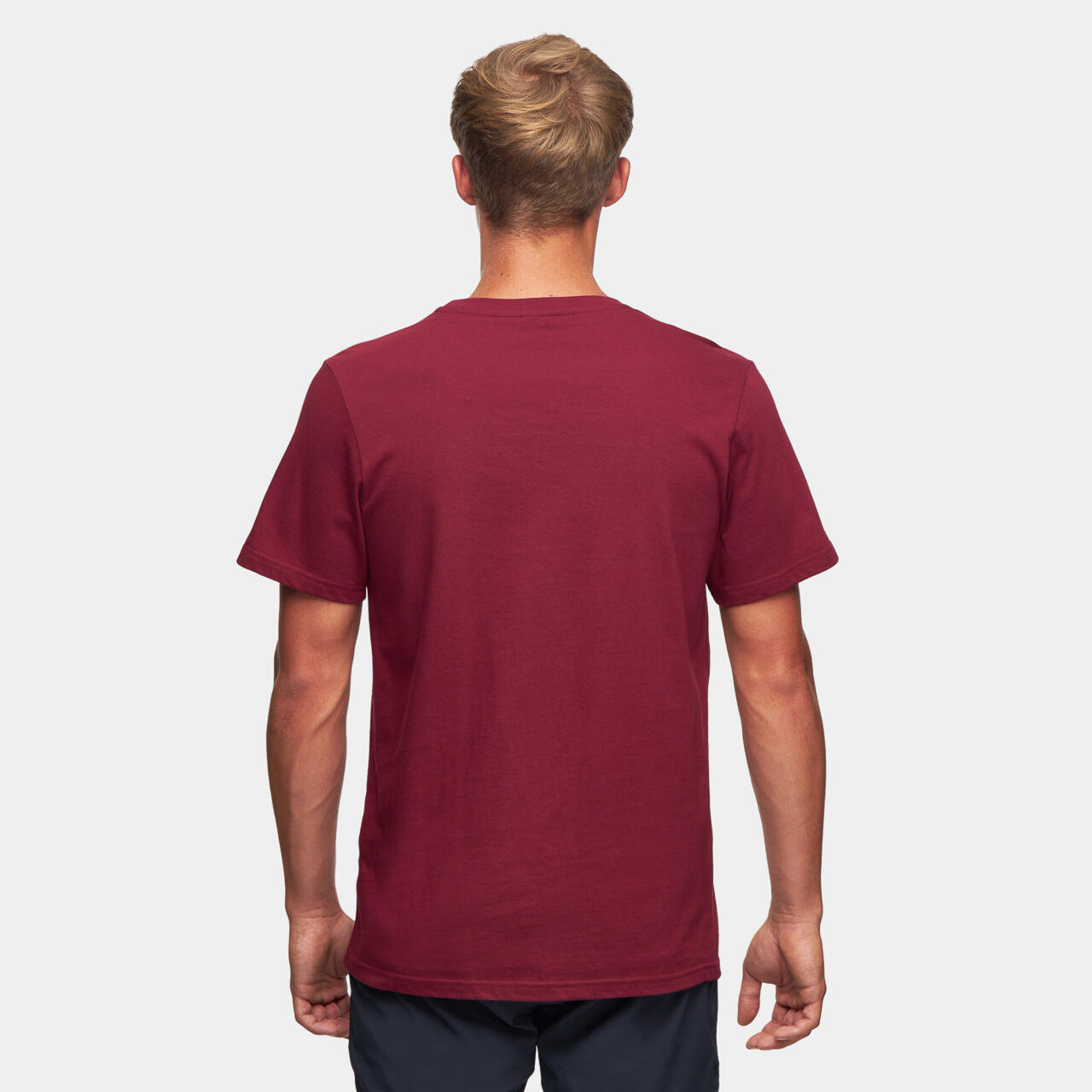 T-Shirt Bergwandern Herren Alpinus Polaris II 2/6