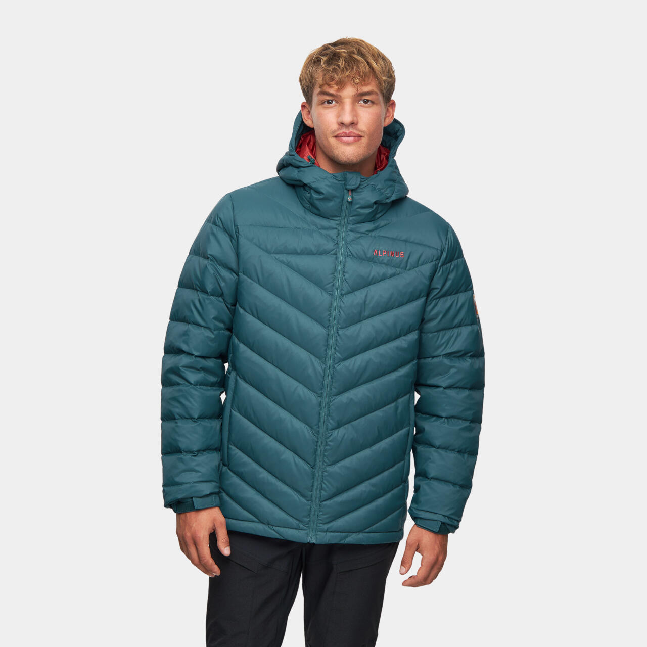 ALPINUS picture