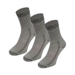 Lot de 3 paires de chaussettes fines en laine mérinos S7 35/38