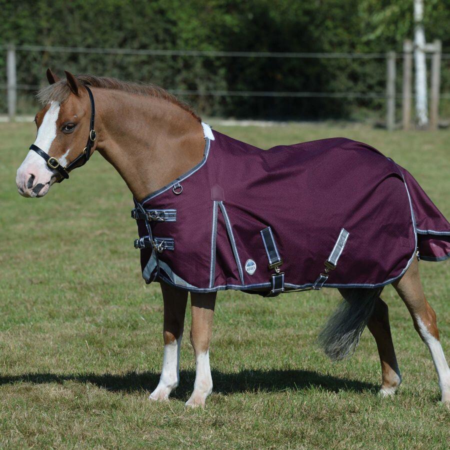 Manta de exterior para caballos Weatherbeeta  Plus Dynamic II 2/2