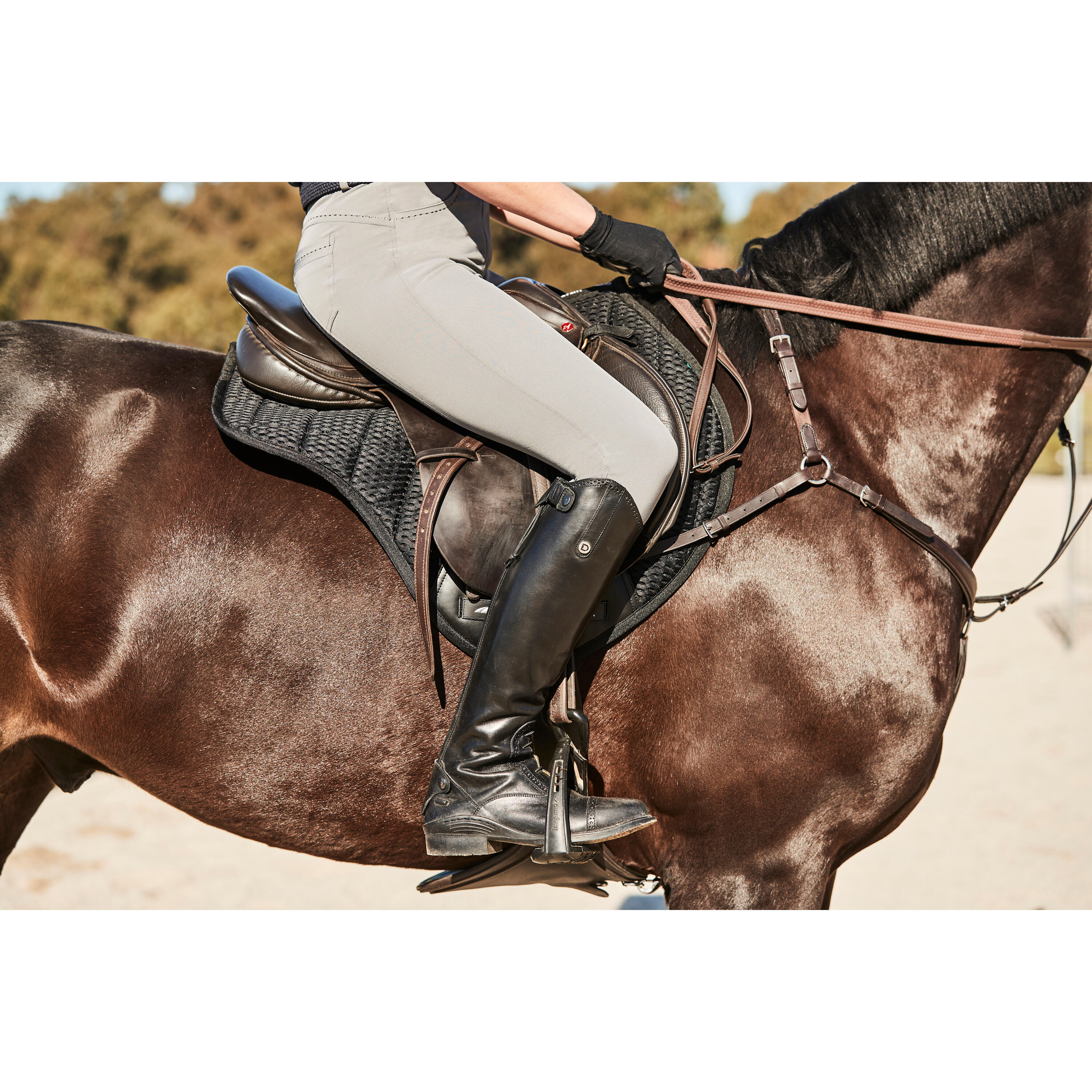 Reithose full grip Frau Dublin Shelby 3/3