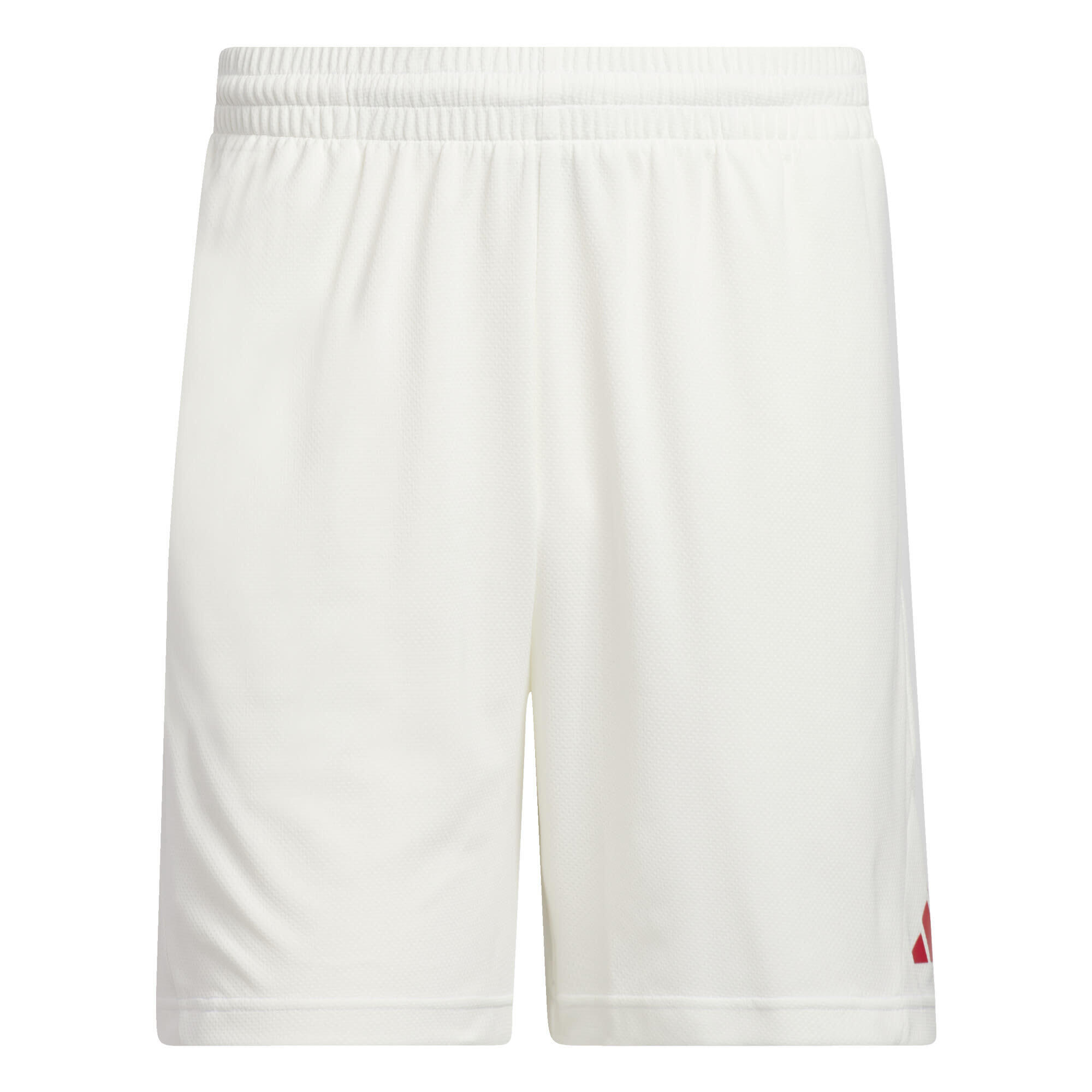 Basketball Badge of Sport Shorts 2/5