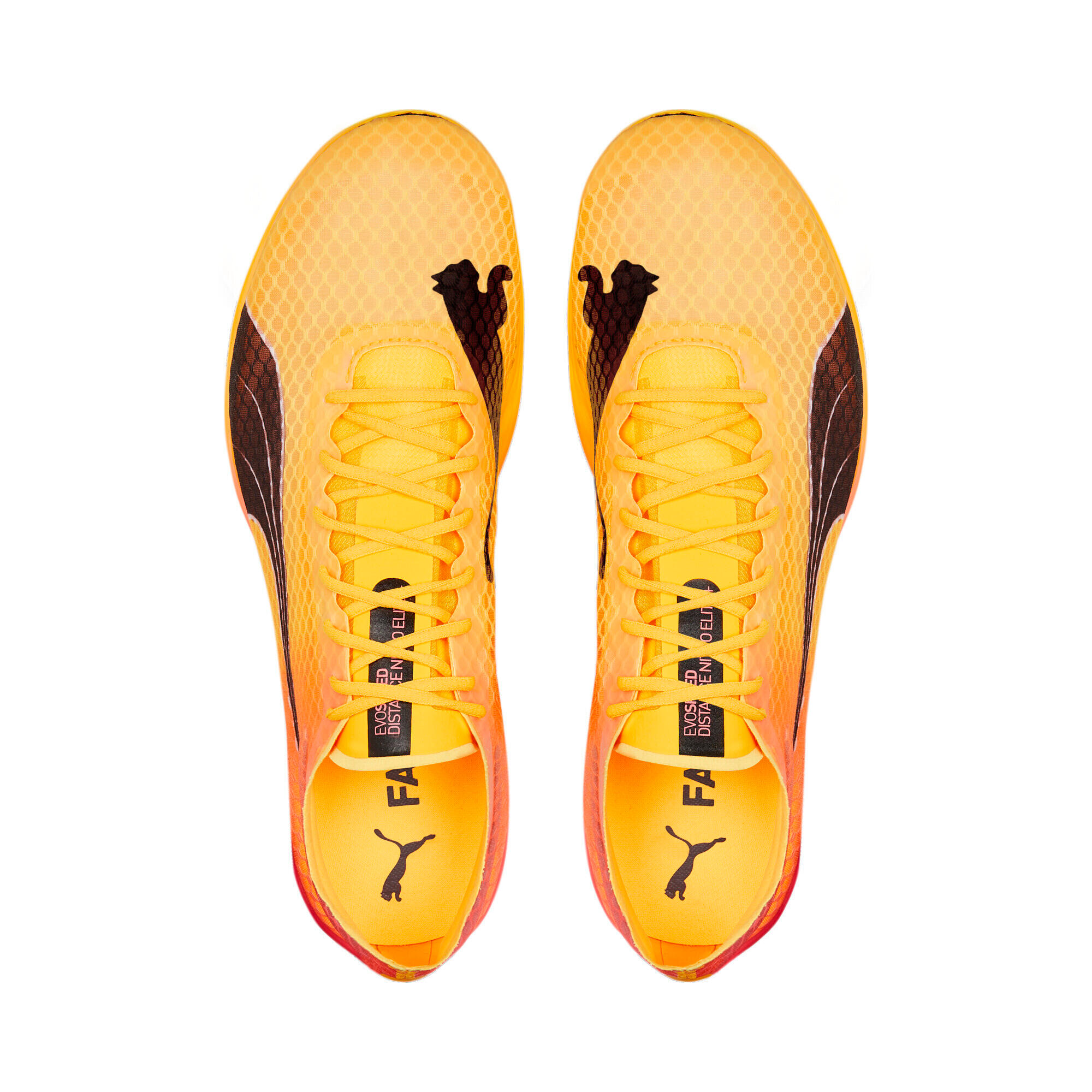 Laufschuhe Erwachsener Puma Evospeed Distance Nitro Elite Spikes Schwarz 5/5