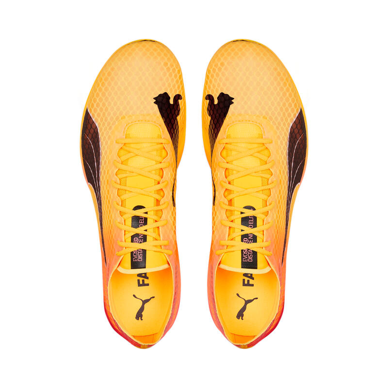 Chaussures d'athlétisme Puma evoSPEED Distance Nitro ElITe+ 2