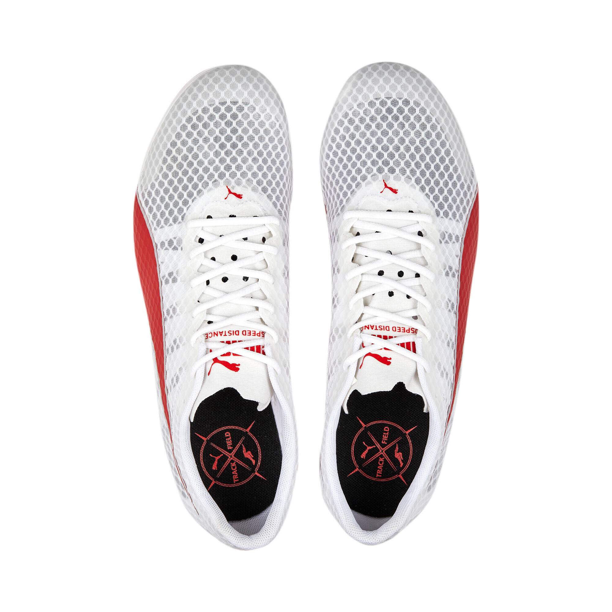 Spikes Leichtathletikschuhe Puma Evospeed Distance 11 3/6