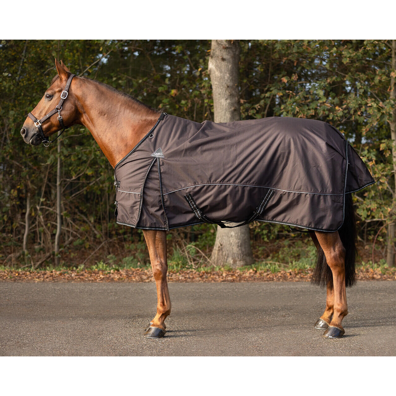 Waterproof fleece blanket for horses QHP Crocodile collection 50gr