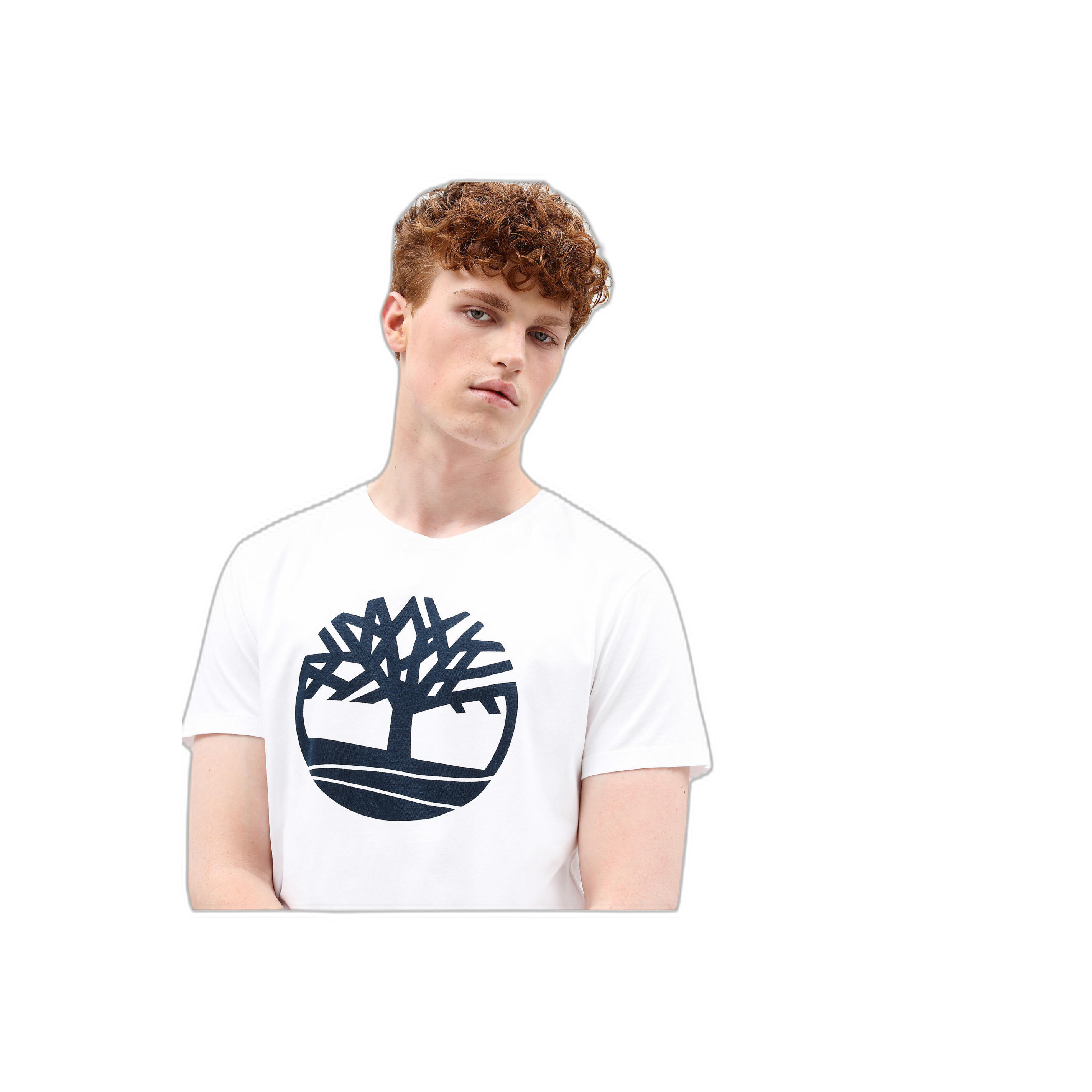 T-shirt Timberland Bio Brand Tree 3/5