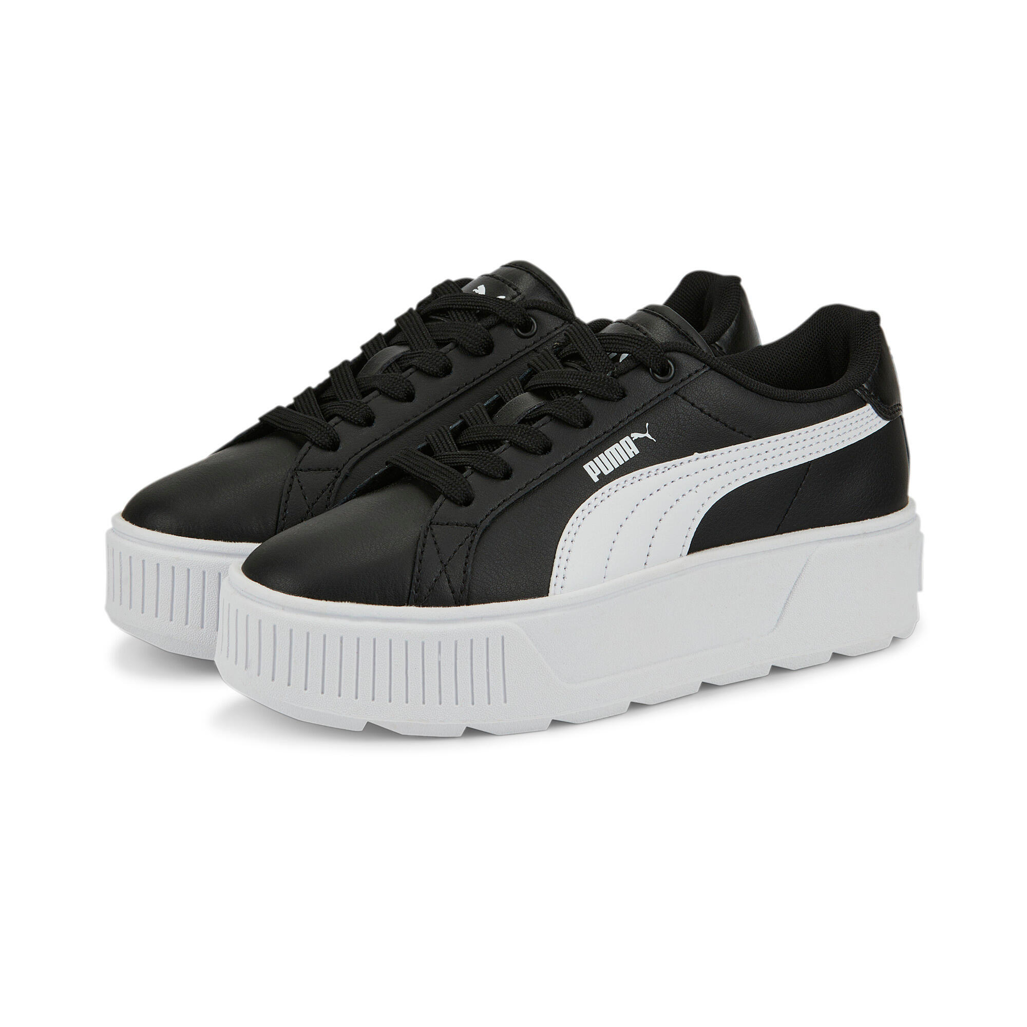 PUMA picture