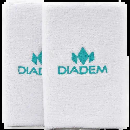 DIADEM picture