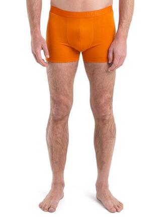 Caleçon thermique pour hommes Icebreaker Anatomica Cool-Lite