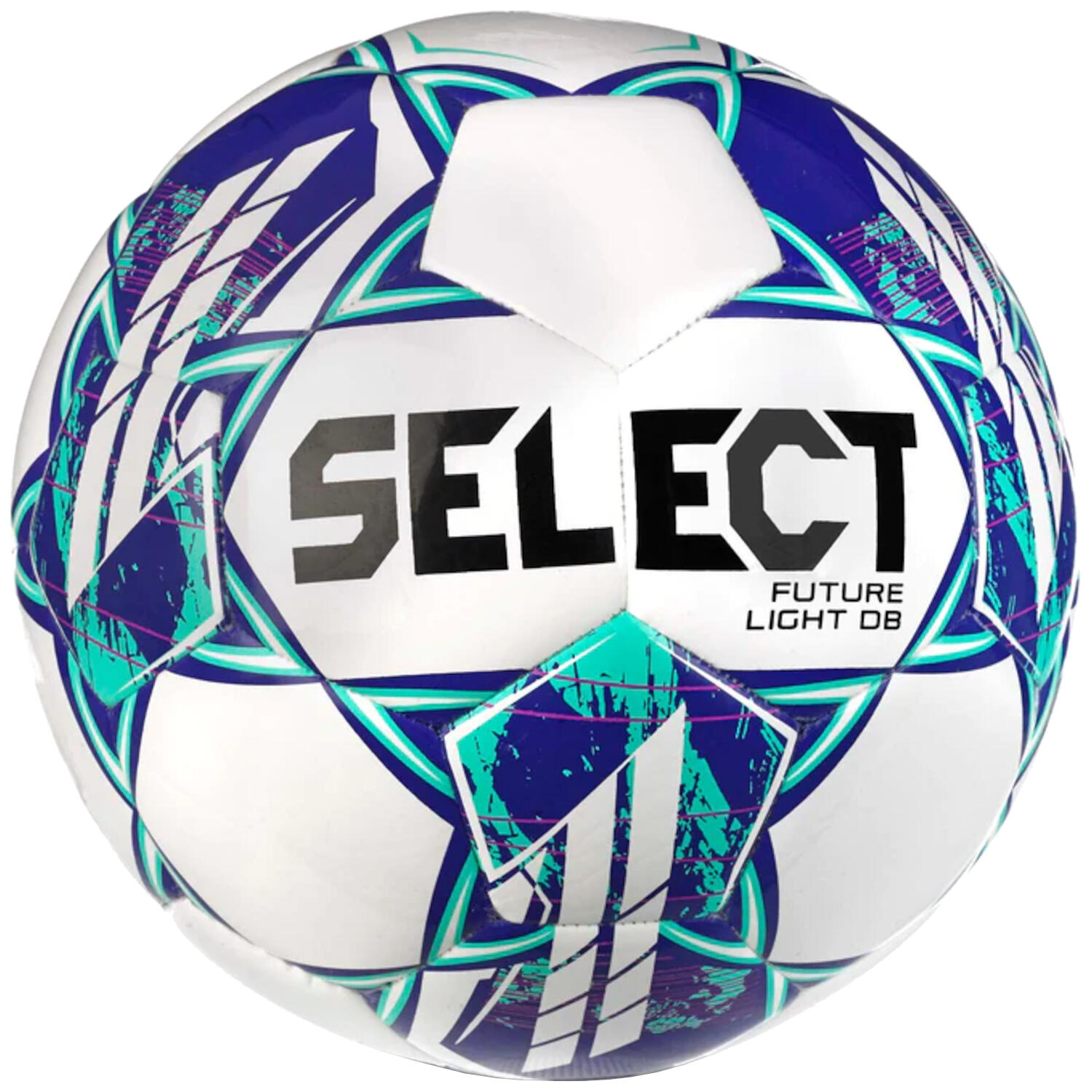 SELECT picture