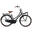 Popal Daily Dutch Basic+ N3 Transportfiets - Stadsfiets - Dames - Mat Zwart