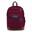 Rugzak Jansport Cool Student