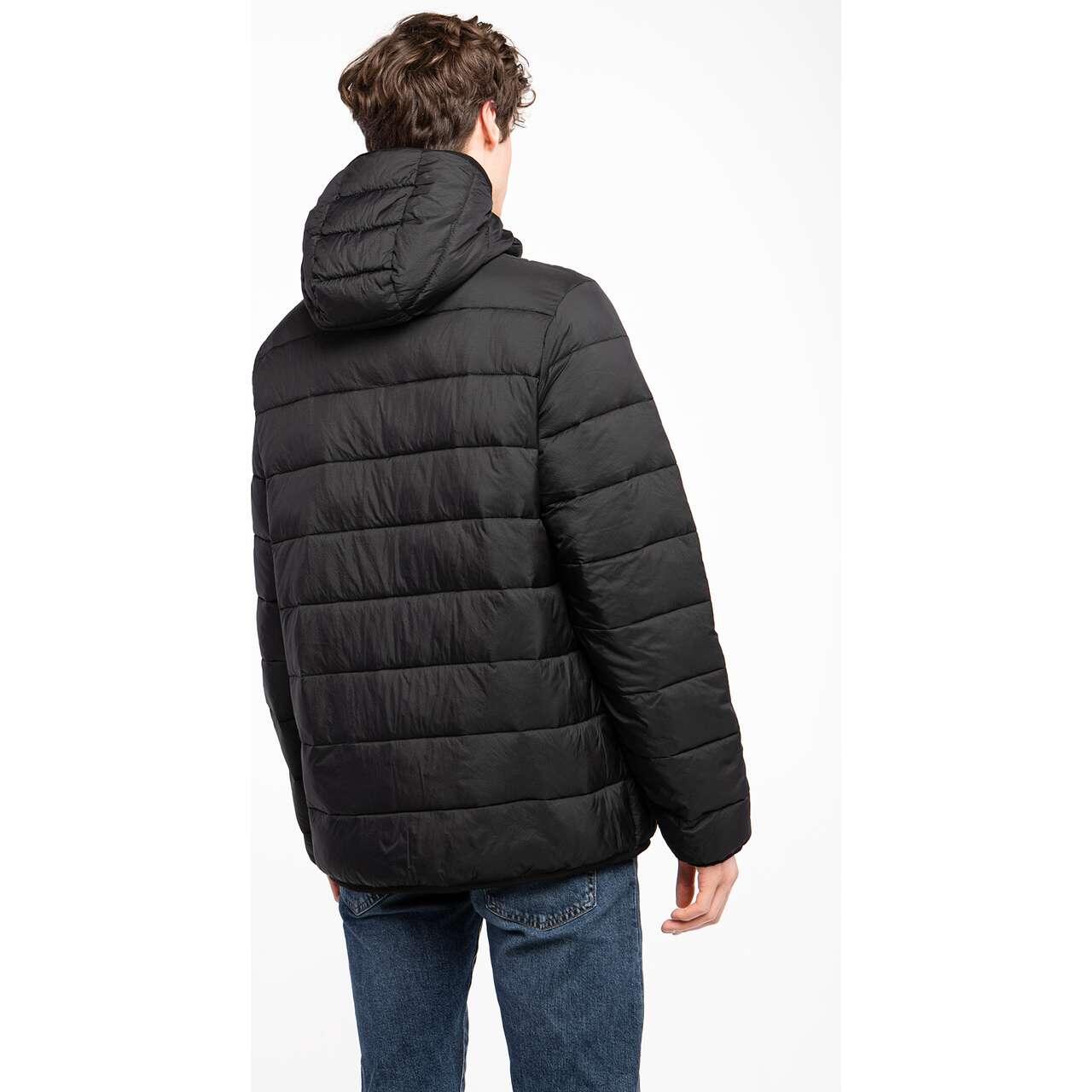 Kurtka zimowa męska Dickies Waldenburg Mid 4/4