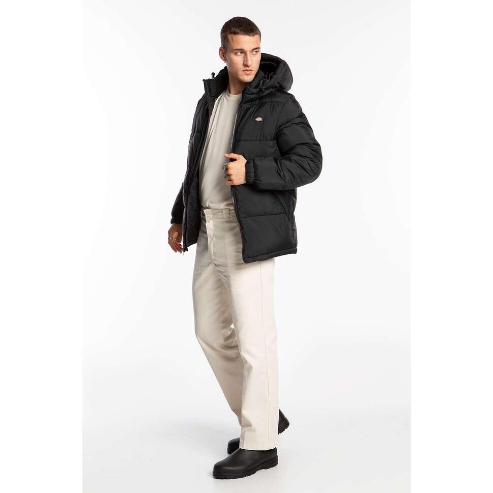 Kurtka zimowa męska Dickies Waldenburg Hooded