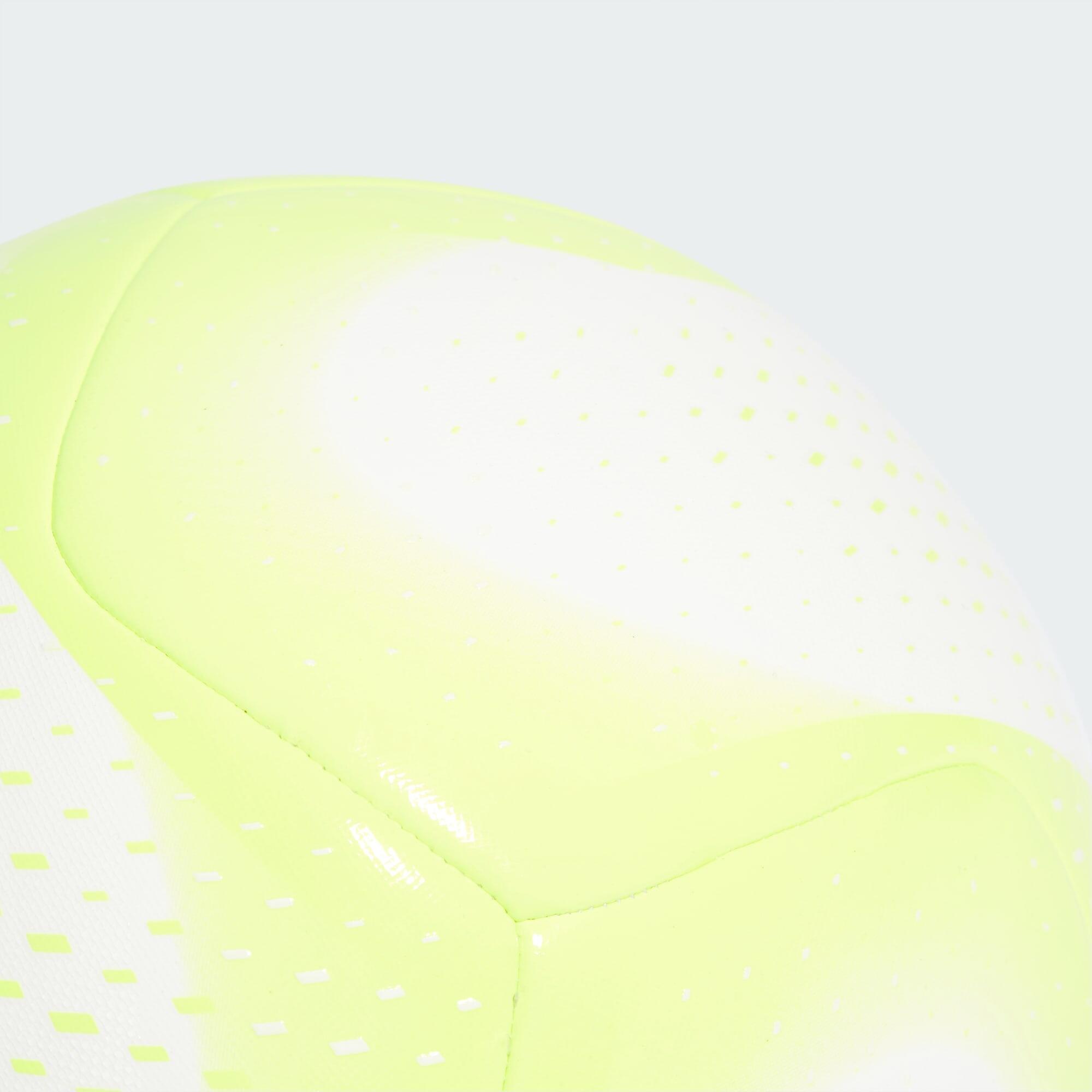 Bola de Treino Predator 5/6