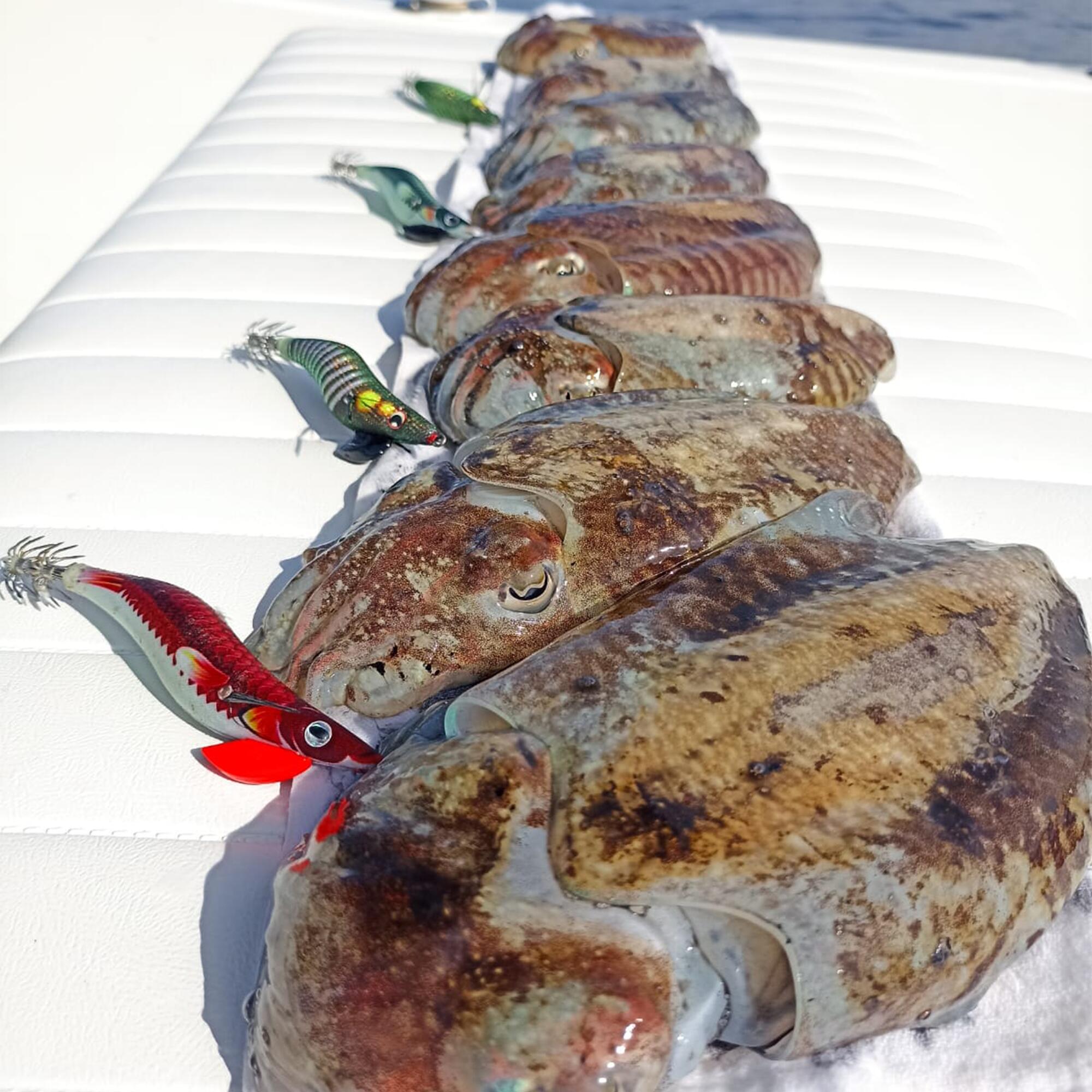 Canna per la pesca ai cefalopodi - Jatsui Intrepid Egi SA 6/6
