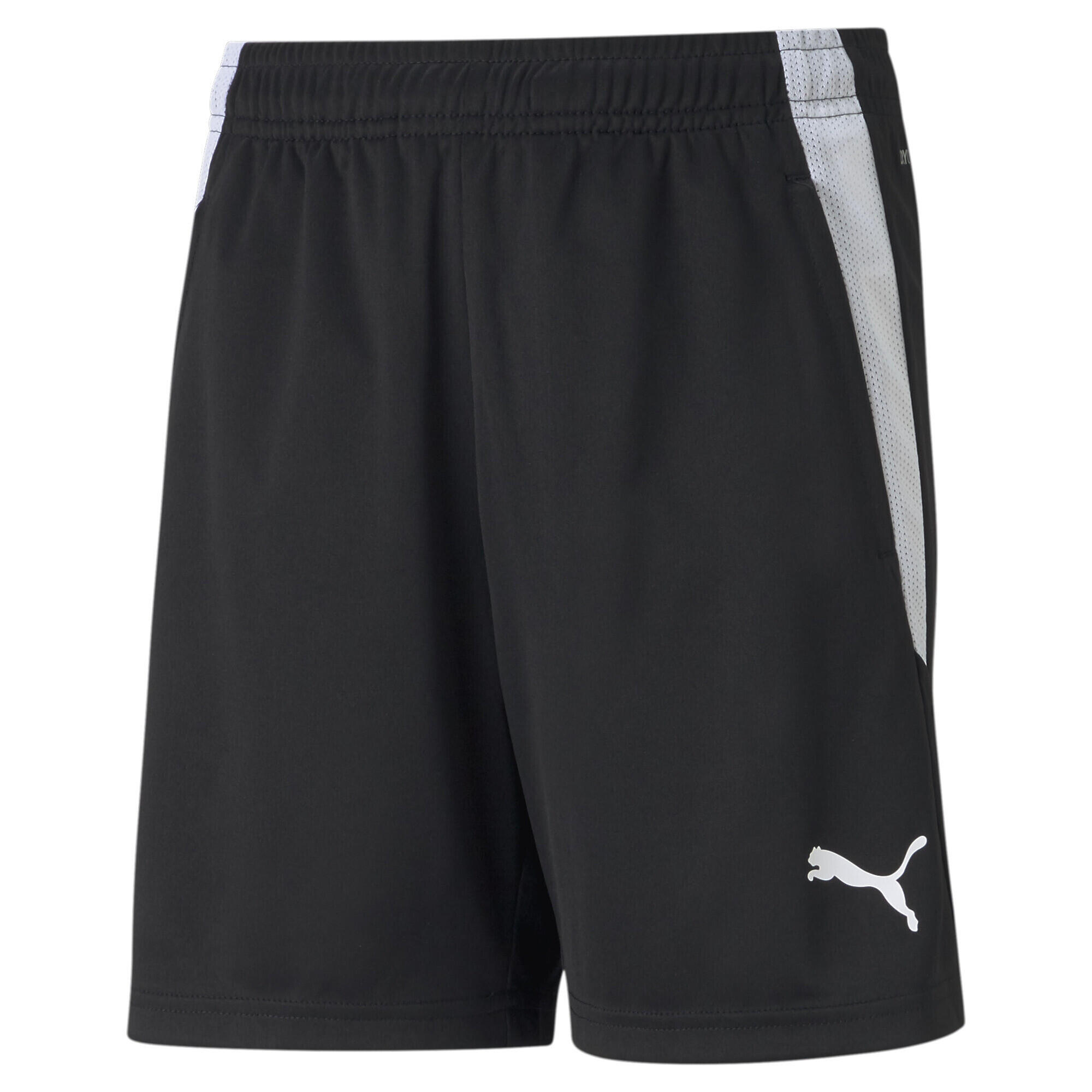 Spodenki piłkarskie dziecięce PUMA Teamliga Training 1/3