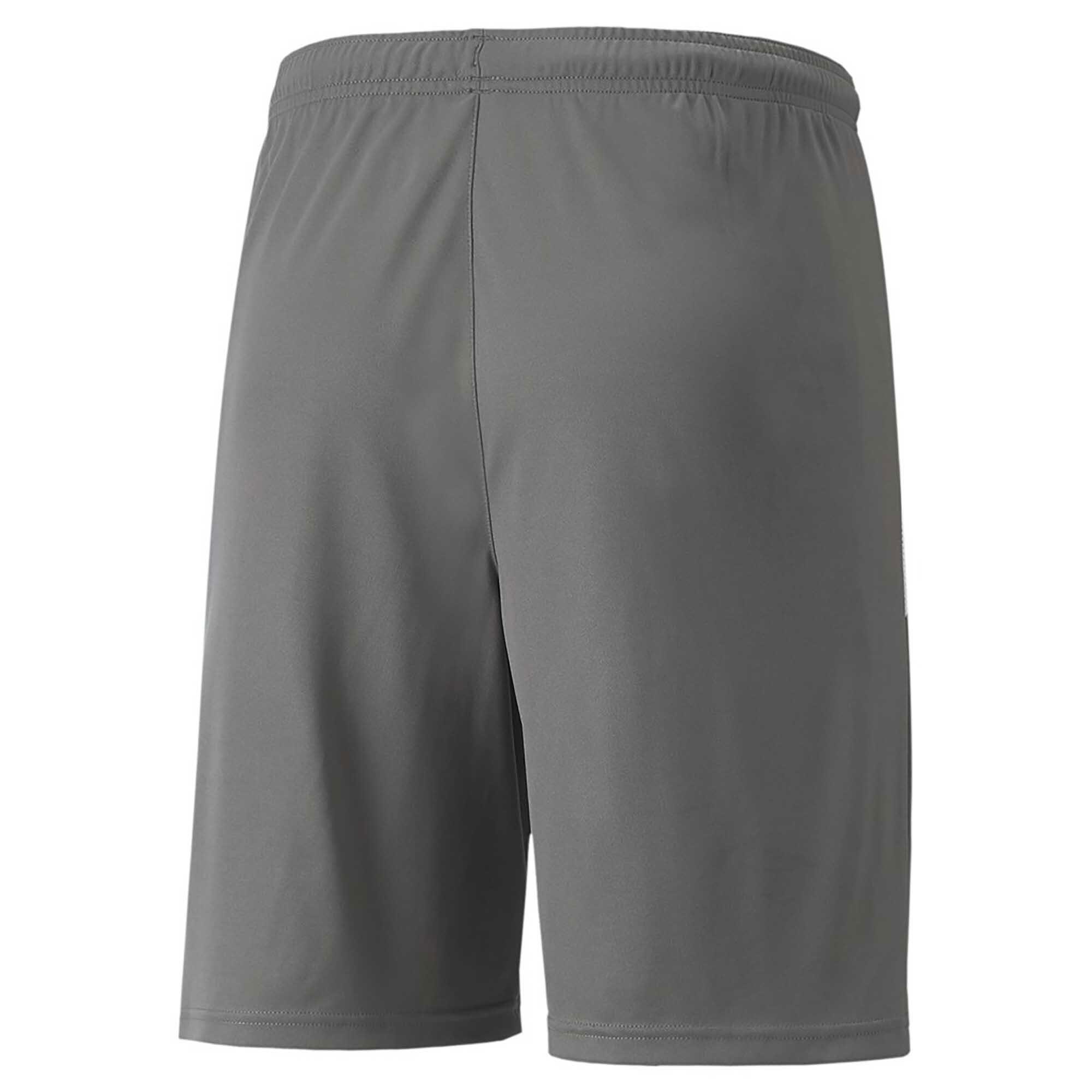 Pantalones Cortos Puma Teamliga 13 Pantalones Cortos Adulto 2/3