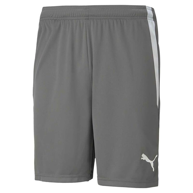 Pantalones Cortos Puma Teamliga 13 Pantalones Cortos Adulto