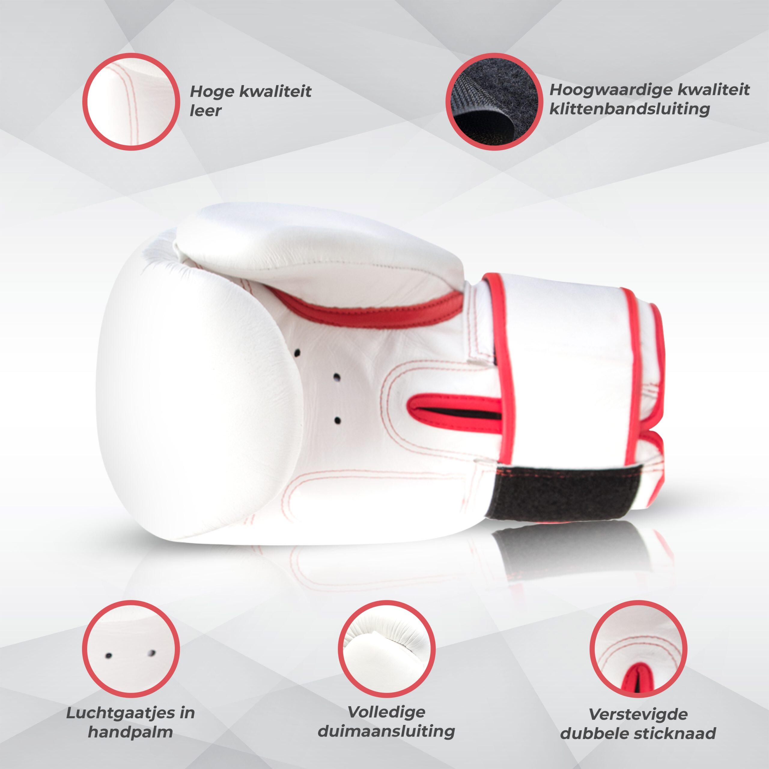 Gants de boxe Ali's-BG TR-Training-Blanc-Cuir 3/5