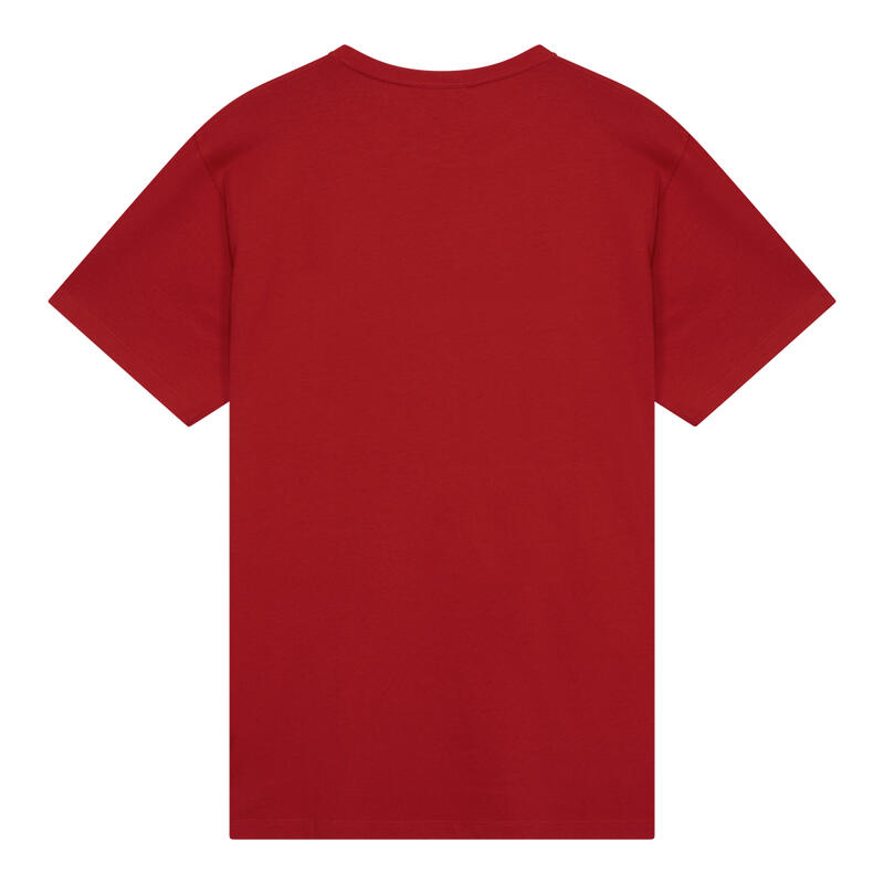 Arsenal T-shirt Pánská