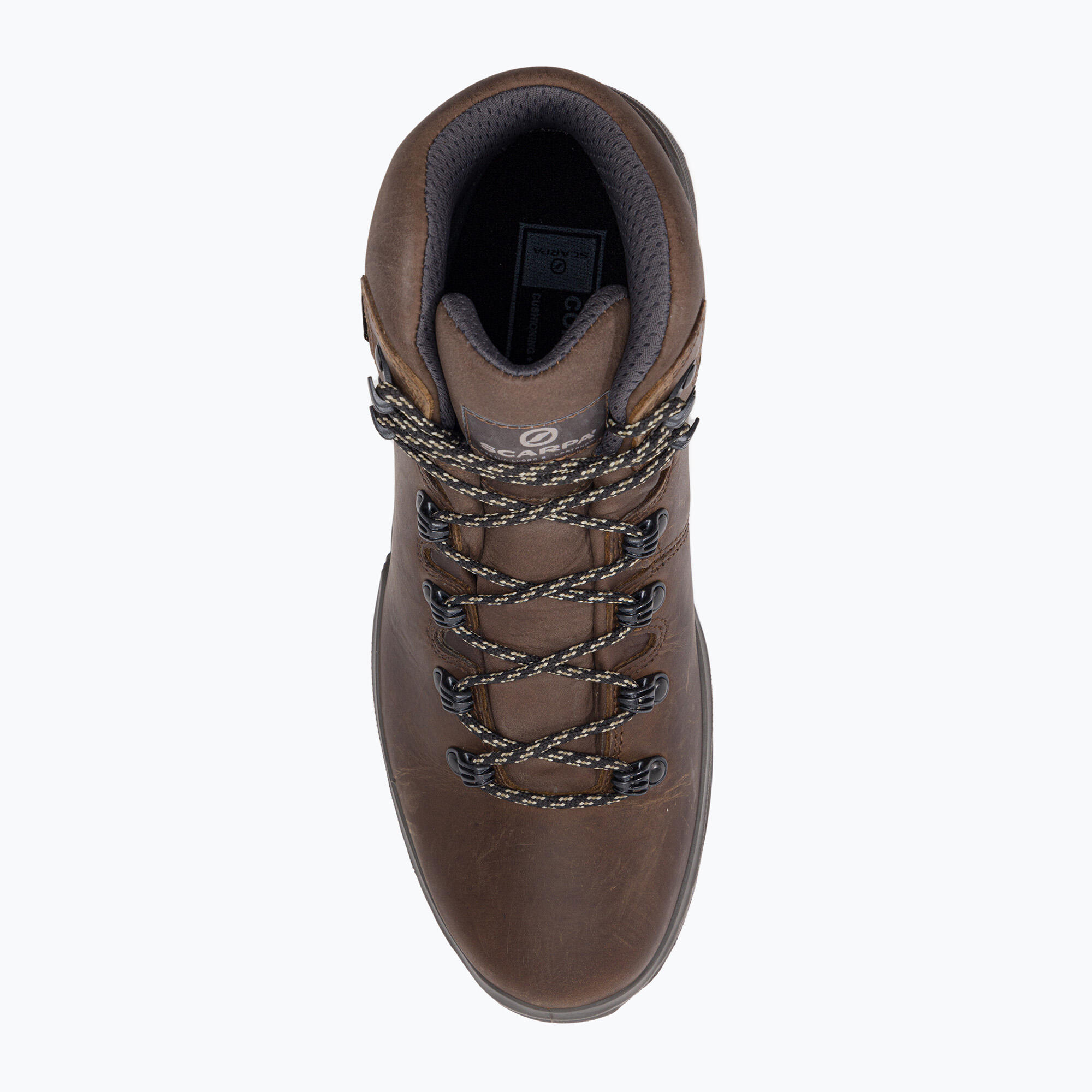 Heren schoenen SCARPA Terra GTX 6/7