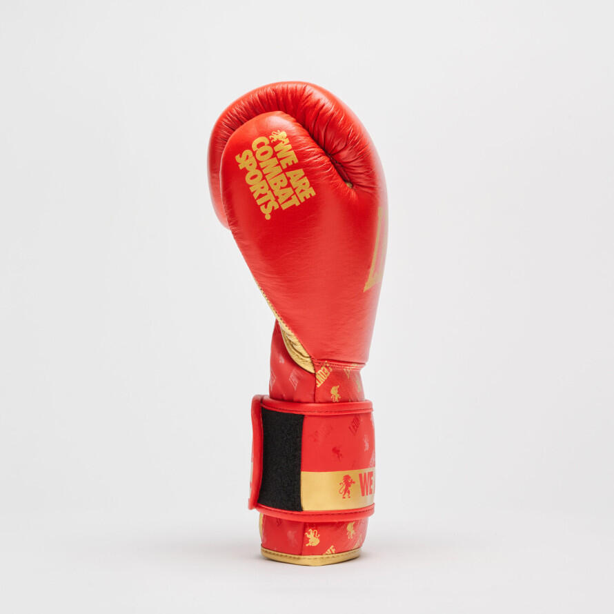 Gants de boxe DNA rouge 4/7