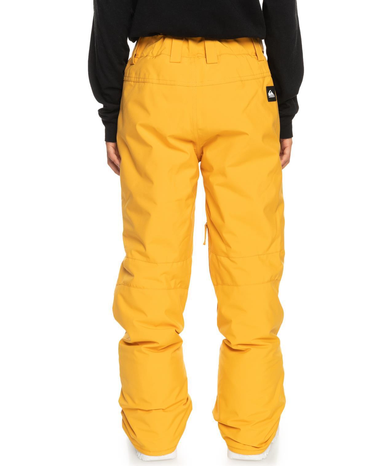 Quiksilver Estate Boys Ski Pants - Mineral Yellow 5/5