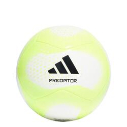 Ballon d'entraînement Predator