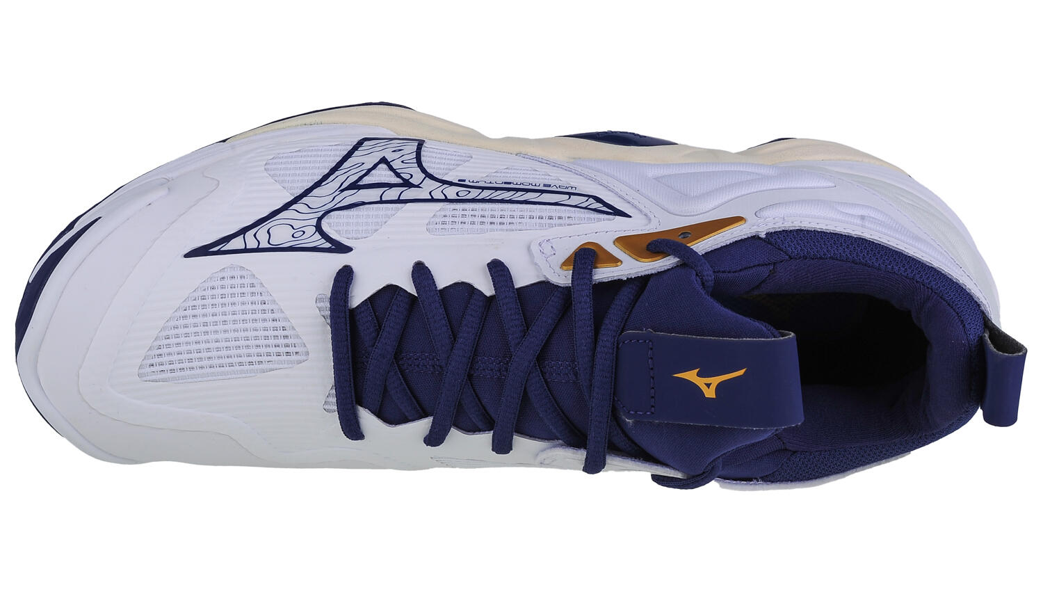 Buty siatkarskie męskie Mizuno Wave Momentum 3 45 3/5